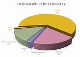 Ethnicity pie chart - Pal-O-Mine