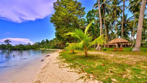 Nature Landscape Beach Palm Trees Grass Tropical Boat Sunshade