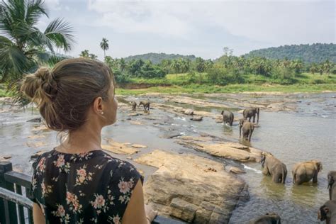 Sri Lanka Rundreise Die Highlights Die Besten Tipps Für Deinen Urlaub