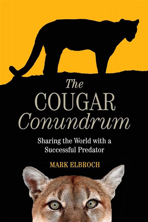 The Cougar Conundrum Sharing The World With A Successful Predator