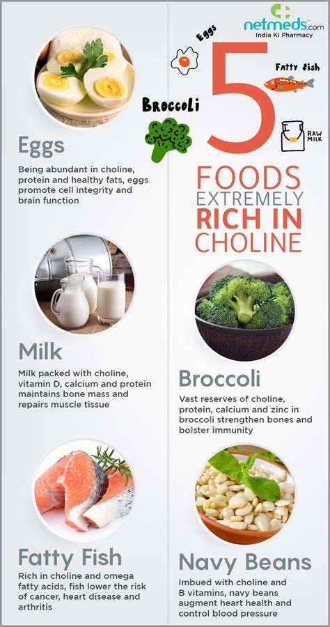 See full list on vegfaqs.com 5 Choline Loaded Foods To Promote Overall Health-Infographic