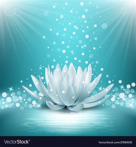 Top 999 Lotus Flower Images Amazing Collection Lotus Flower Images