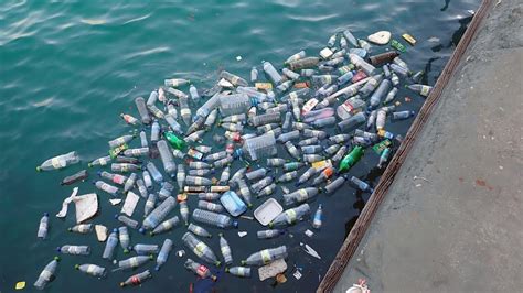 50 Facts About The Great Pacific Garbage Patch