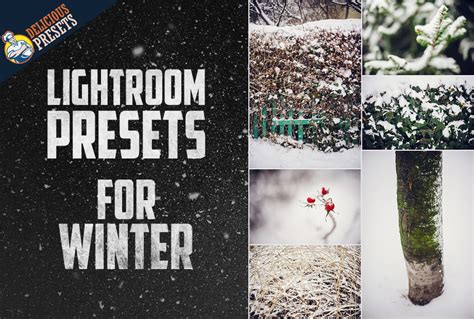Whether you're editing a new landscape image or want to create the same look across an entire editorial shoot. Winter Lightroom Presets Archives - Delicious Presets