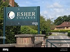 entrance sign for esher college, a sixth form college in thames Stock ...
