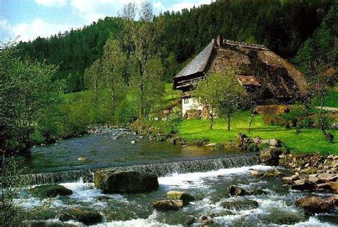 What A Wonderful World Black Forest Germany