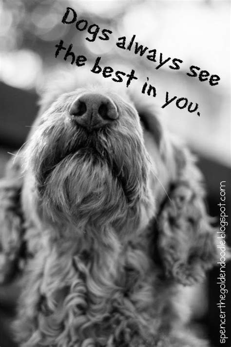 169 Best Dog Quotes And Poems Images On Pinterest Thoughts Dog Sayings