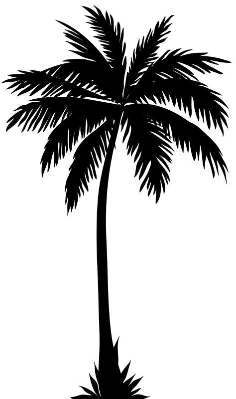 Transparent Palm Tree Silhouette Clip Art