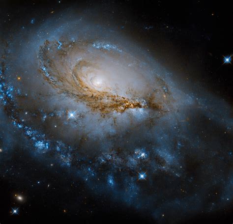 Hubble Focuses On Enormous Spiral Galaxy Ngc 1961 Scinews