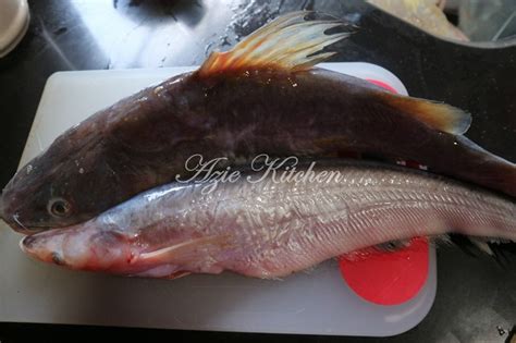 Nampak ikan teri sudah masak baru masukkan tempoyak dan sedikit air. Ikan Baung Masak Tempoyak Perak - Azie Kitchen