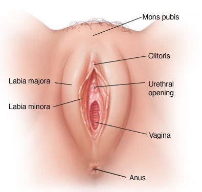 Macam Foto Vagina Australia Foto Bokep Hot
