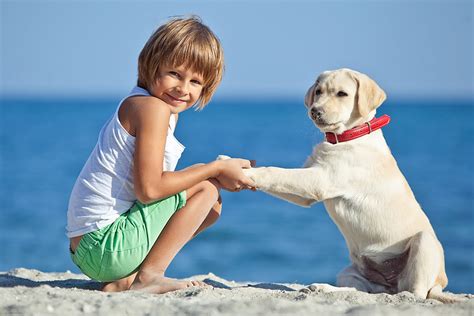 Kids And Dogs Teaching Kids About Respect And Safe Interactions