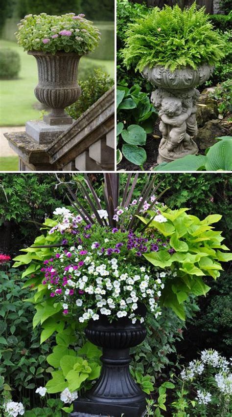 17 Beautiful Container Garden Ideas And Plant Pots Garden Containers