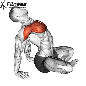 Seated Chest Stretch Workout Planner