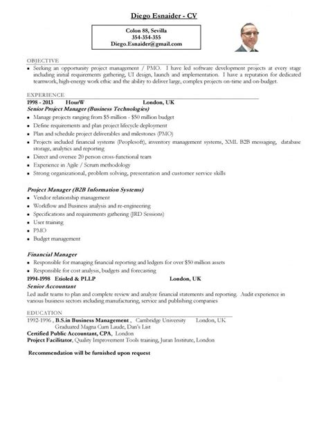 Ejemplo De Curriculum Vitae En Ingles De Un Contador