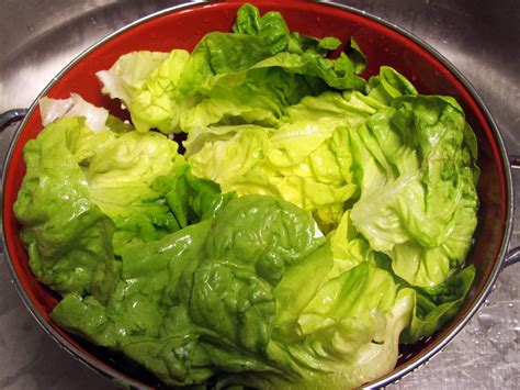 The Healthiest Lettuces And Salad Greens Ranked Business Insider