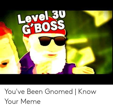 Level 30 Gboss Youve Been Gnomed Know Your Meme Meme On Meme