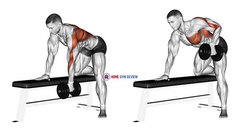 Dumbbell One Arm Bent Over Row Home Gym Review