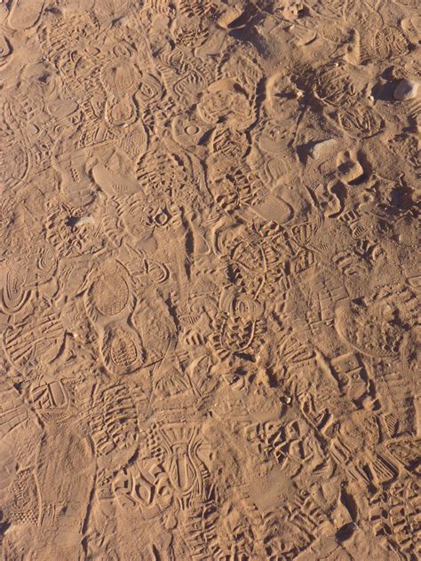 Free Images Sand Wood Track Texture Desert Floor Footprint