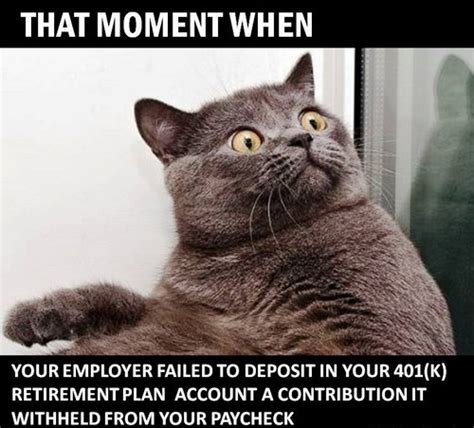 An element of a culture or system of behavior that may be considered to be passed. Cats Meme Retirement Funny