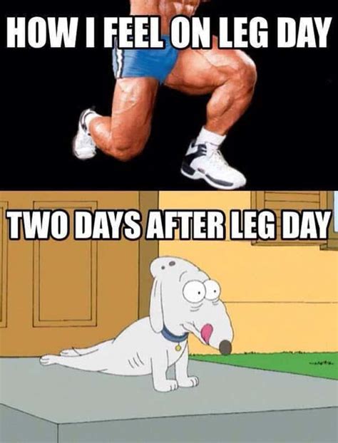 50 Hilarious After Leg Day Meme Inspiring Pictures Quotes