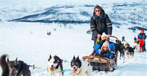 Tromsø Guided Husky Sledding With Traditional Lunch Getyourguide