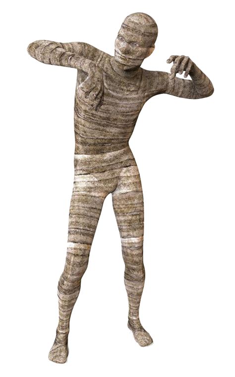 Mummy Png Transparent Image Download Size 640x1024px