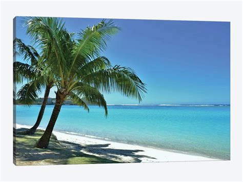 Tropical Beach Scene And Palm Tree Art P Michael Fitzsimmons Icanvas
