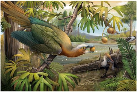 How Did Birds Survive The Cretaceous Mass Extinction A Secret Hidden