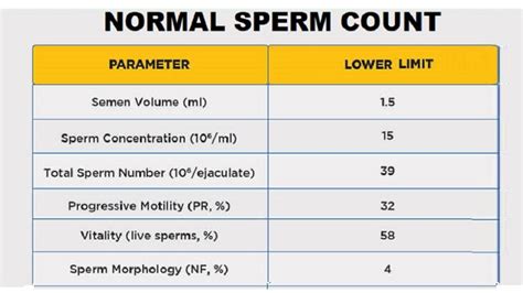 What Is Normal Sperm Count Helal Medical
