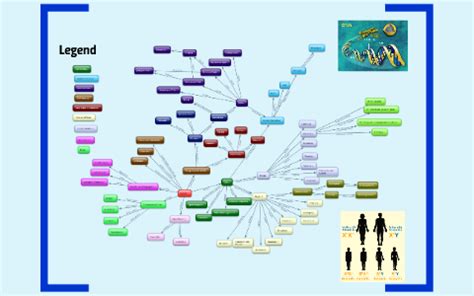 Genetics Concept Map Mastering Biology United States Map