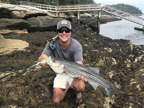 The Maine Coast Always Delivers Rflyfishing