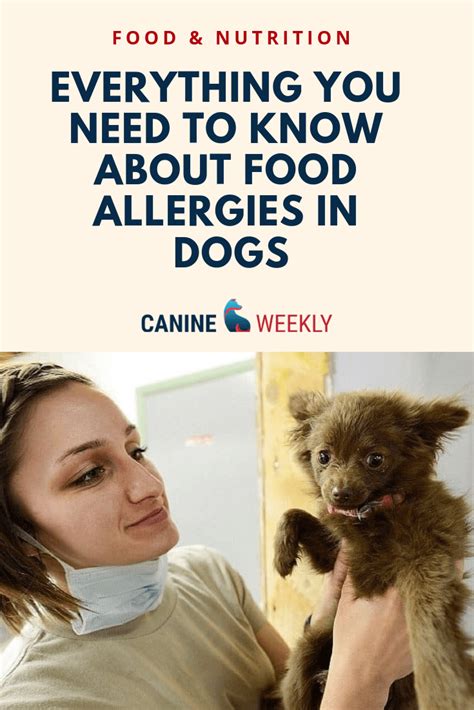 Dogs are omnivores, meaning they are designed to live on a diet containing both meat and vegetables. Food Allergies in Dogs: Understanding Triggers and ...