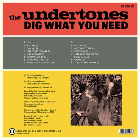 The Undertones Dig What You Need Lp Vinyl