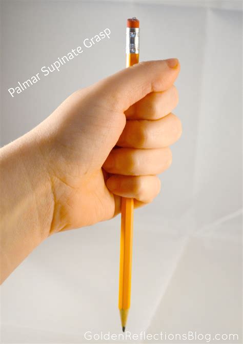 Typical Pencil Grasp Development for Kids | Pencil grasp development, Pencil grasp, Pencil