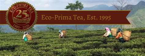 Eco Prima Celebrating 25 Years Eco Prima Tea