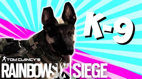 Dog Operator On Rainbow Six Siege Youtube