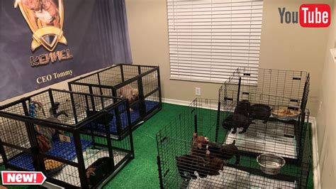 New Cbkennells Indoor Kennel Setup Youtube