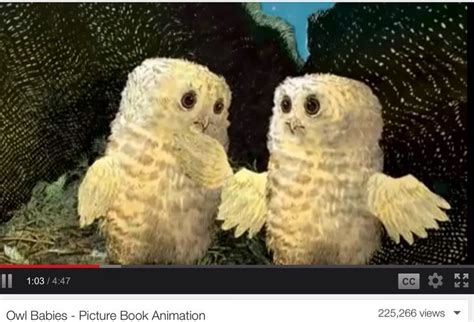 Owl Babies Picture Book Animation Baby Owls Kindergarten Library
