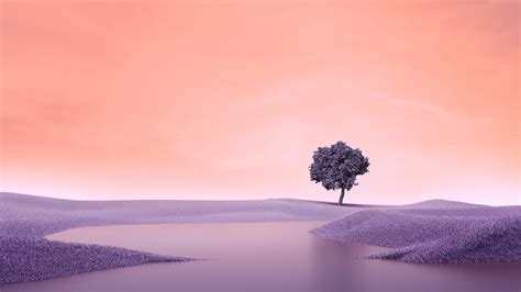Lone Tree Wallpaper 4k Surreal Landscape Spring Lake