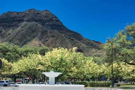 Kapiolani Park Scene Of Hawaii By Wavees