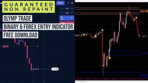 Guaranteed Non Repaint Binary And Forex Entry Indicator Am Trading Tips