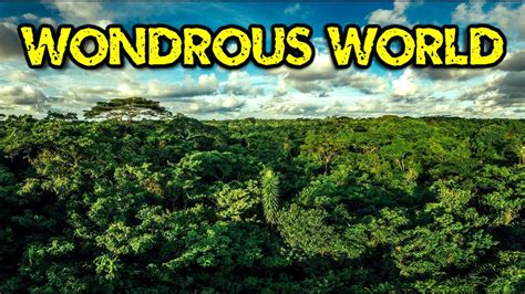 Wondrous World Of The Congo Rainforest Youtube
