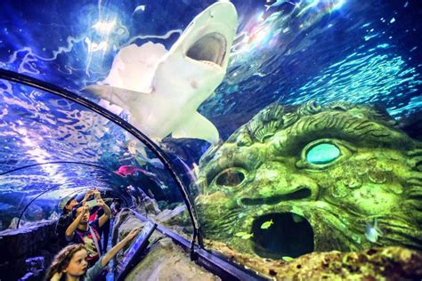 Sea Life Sydney Aquarium Travel Guidebook Must Visit Attractions In