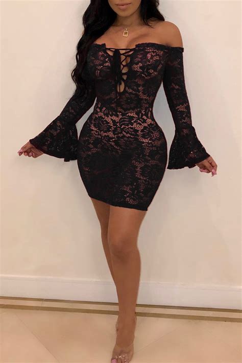 Lovely Sexy See Through Black Lace Mini Dressdresses
