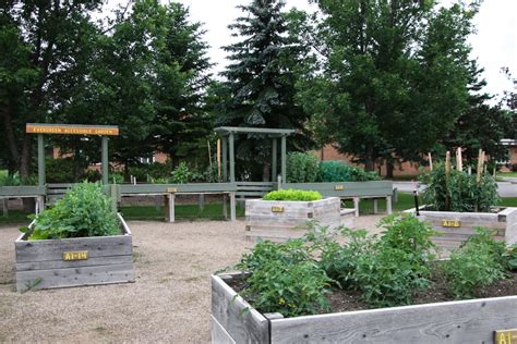 Accessible Gardens Grow Regina Community Garden