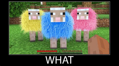 Minecraft Sheep Meme