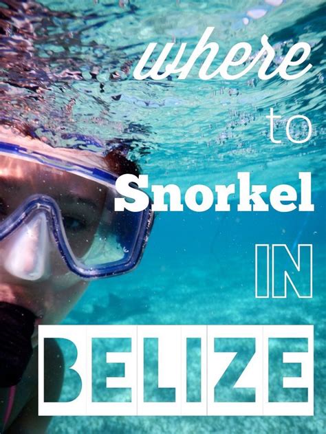 The Best Snorkeling In Belize Where To Snorkel In San Pedro And Beyond