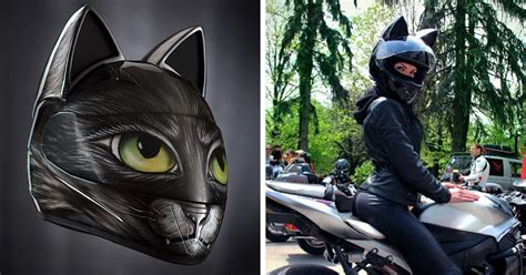 Cat Helmets From Russia Keep You Cute And Secure Demilked