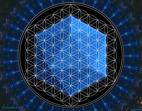 The Platonic And Pythagorean Solids Platonic Solid Flower Of Life